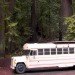 school bus conversion, architecture, green renovation, green design, sustainable design, eco-design, bus, wpi Creative, Cascades, USA, wood-fired stove, natural ventilation, mobile home