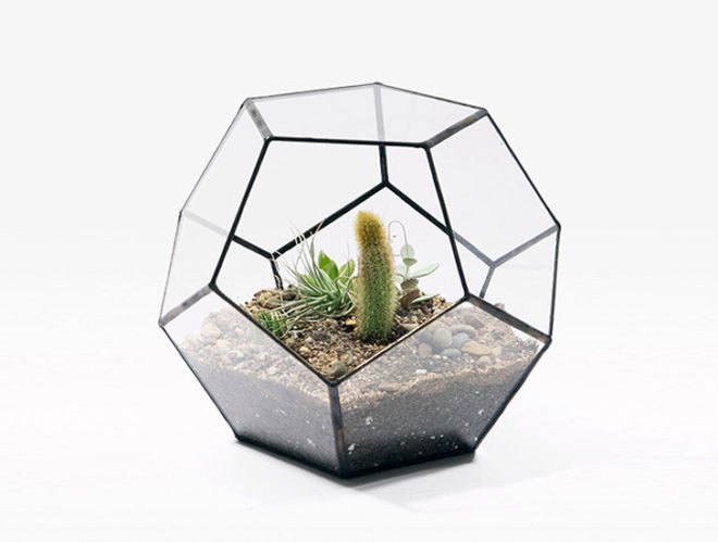 green design, eco design, sustainable design, geodesic dome, terrarium, indoor gardening, Score + Solder, Matthew Cleland, Pender Island