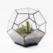 green design, eco design, sustainable design, geodesic dome, terrarium, indoor gardening, Score + Solder, Matthew Cleland, Pender Island
