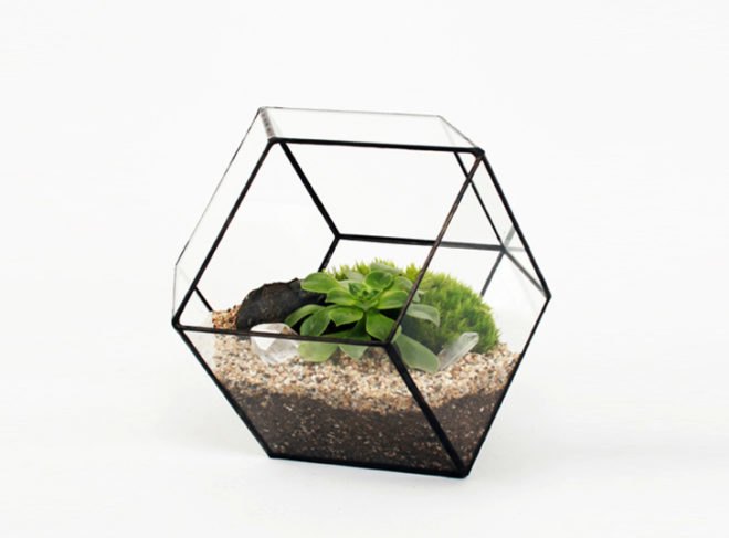 green design, eco design, sustainable design, geodesic dome, terrarium, indoor gardening, Score + Solder, Matthew Cleland, Pender Island