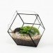 green design, eco design, sustainable design, geodesic dome, terrarium, indoor gardening, Score + Solder, Matthew Cleland, Pender Island