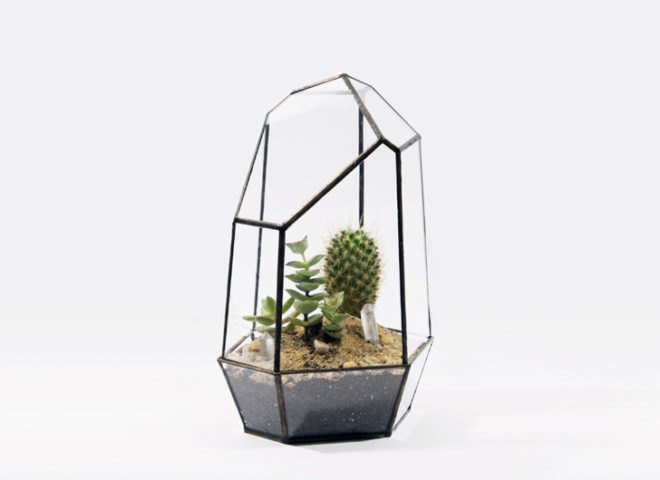 green design, eco design, sustainable design, geodesic dome, terrarium, indoor gardening, Score + Solder, Matthew Cleland, Pender Island