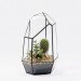 green design, eco design, sustainable design, geodesic dome, terrarium, indoor gardening, Score + Solder, Matthew Cleland, Pender Island