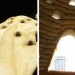Ana Lisa Alperovich, Small Earth, Hounslow Heath Infant and Nursery School, Hayward Gallery, Super Adobe, Nader Khalili, NASA, mud, adobe house, strong shelter, earthquake ressistant, Architecture, Sustainable Building, Green Materials, humanitarian design, Green Resources,