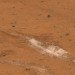 Sporosarcina pasteurii, mars, surface, nasa, synthetic biology, bricks, mortar