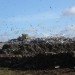 Sweden importing trash, sweden waste, sweden recycling, waste to energy, burning waste, norway waste, recycling initiatives, landfill waste