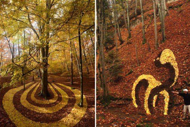 Sylvain Meyer, leaf art, organic art, leaves, nature art, eco art