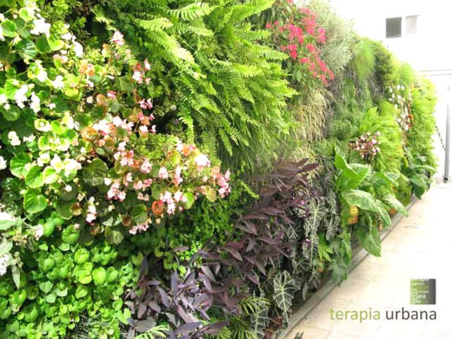 vertical garden, green wall, terapibna urbana, urban gardening, seville italty, university of seville