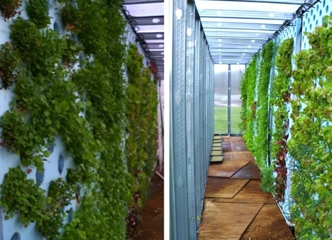 The Farmery, Raleigh, mushrooms, hydroponic growing systems, modular growing system, urban farming, farmer's market, recycled materials, shipping container, green design, sustainable design, eco-design