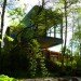 Wales, Longhouse, Featherstone Young, Hovering House, Ty-Hedfan, Brecon Beacons National Park, cantilever, green roof, skylights, green design, sustainable design, eco-design