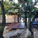 local materials, westcliff pavilion, johannesburg, south africa, prefab construction, floating stone wall, local materials, small footprint, minimize site disturbance, green design, sustainable design, eco-design, GASS, steel