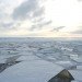 Antarctic sea ice, ice melt, global warming, south pole, north pole, climate change, ice caps
