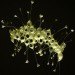 Aurora Robson, recycled materials, recycled plastic, plastic art, recycled material art, sculptures