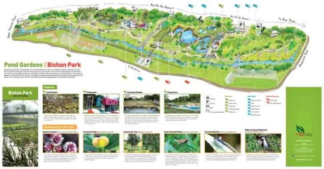 Kallang River, Bishan Park, Singapore, Atelier Dreiseitl, Landscape architecture