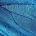 Shu Yang, University of Pennsylvania, butterflies, butterfly wings, holographic lithography, solar panels, solar efficiency