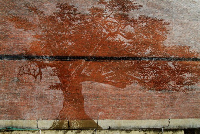 Charter Oak, Adam Niklewicz, mural, Hartford, Charter Oak mural, water-activated mural