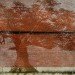 Charter Oak, Adam Niklewicz, mural, Hartford, Charter Oak mural, water-activated mural