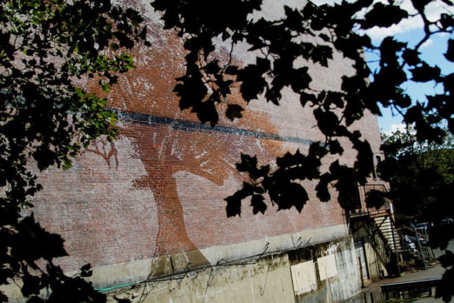 Charter Oak, Adam Niklewicz, mural, Hartford, Charter Oak mural, water-activated mural