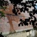 Charter Oak, Adam Niklewicz, mural, Hartford, Charter Oak mural, water-activated mural