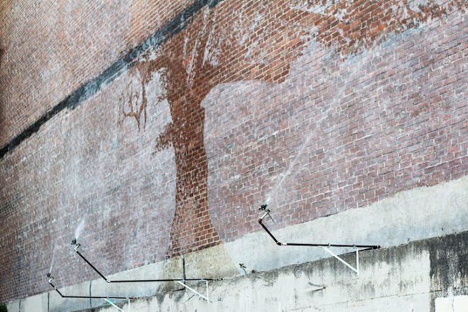 Charter Oak, Adam Niklewicz, mural, Hartford, Charter Oak mural, water-activated mural