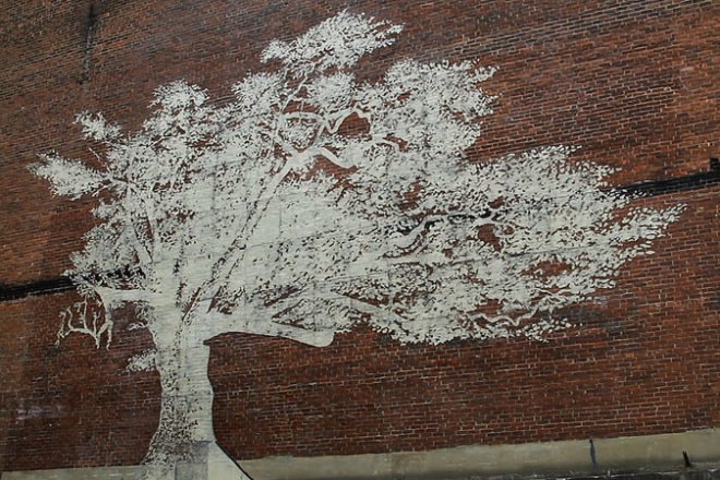 Charter Oak, Adam Niklewicz, mural, Hartford, Charter Oak mural, water-activated mural