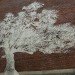Charter Oak, Adam Niklewicz, mural, Hartford, Charter Oak mural, water-activated mural