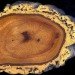 Packaging the Future, cork, sustainable materials, sustainable cork, cork floors, uses for cork, cork oak, cork material. cork textile, cork properties, benefits of cork, cork in building, cork in design,