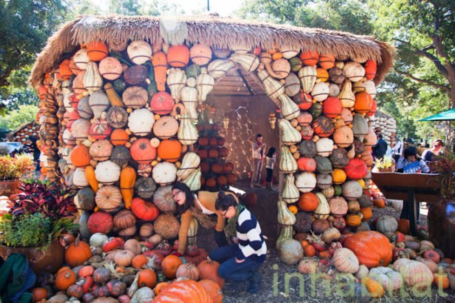 Cinderella’s Pumpkin Village, Dallas Arboretum, pumpkin patch, pumpkin village, Halloween, pumpkins