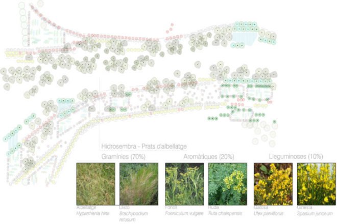 e(co)stratègia, taller Sau Arquitectura, nature bridge, barcelona, collserola mountains, landscape architecture