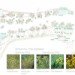 e(co)stratègia, taller Sau Arquitectura, nature bridge, barcelona, collserola mountains, landscape architecture