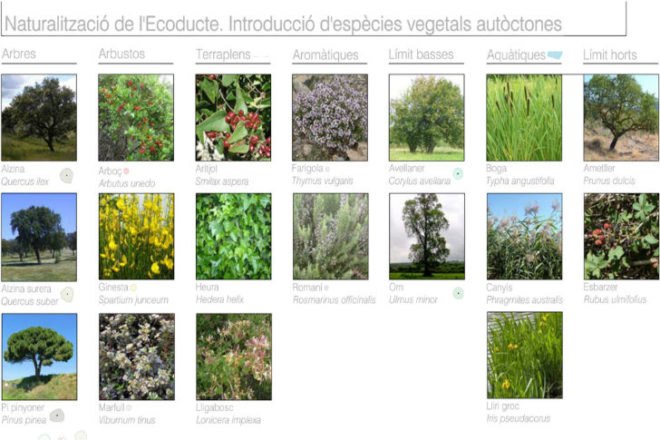e(co)stratègia, taller Sau Arquitectura, nature bridge, barcelona, collserola mountains, landscape architecture