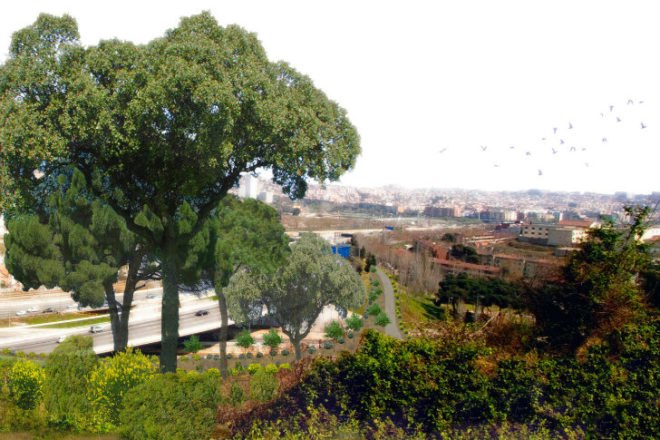 e(co)stratègia, taller Sau Arquitectura, nature bridge, barcelona, collserola mountains, landscape architecture
