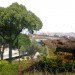 e(co)stratègia, taller Sau Arquitectura, nature bridge, barcelona, collserola mountains, landscape architecture