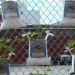 fruit fence, chacha sikes, urban prototyping festival, san francisco, upsf, urban prototyping san francisco,