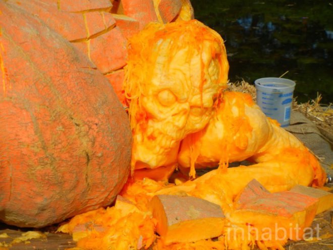 biggest pumpkin, botanical gardens, bronx, fall, fall events, fall events nyc, jim bryson, Jim Bryson biggest pumpkin in the world, New York botanical gardens, news, ny botanical gardens, nyc, nyc events, pumpkin, pumpkin carving, pumpkin events, ray villafane, world’s largest pumpkin