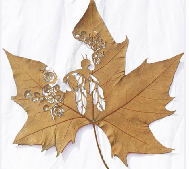 Lorenzo Duran, leaf art, eco art, celtic pattern, land art, leaves