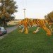 hello wood, timber tiger, reclaimed timber installation, salvaged wood art, sustainable design, green art