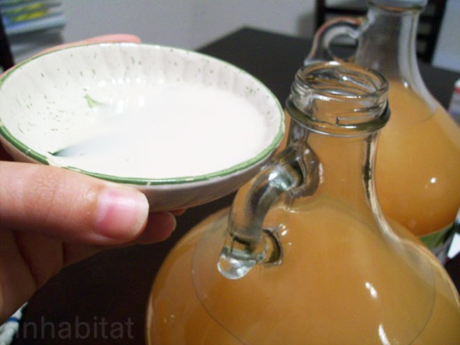 diy apple cider, diy hard cider, how to make apple cider, hard apple cider, apple wine, apfelwein, fall, autumn, cocktails, alcohol, fermenting, sustainable food, bottling, diy alcohol, spiced cider, diy spiced cider, brewing, homebrewing