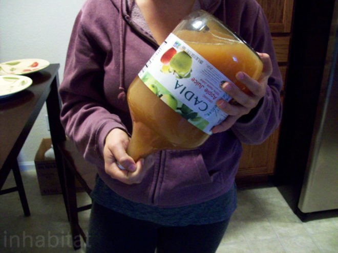 diy apple cider, diy hard cider, how to make apple cider, hard apple cider, apple wine, apfelwein, fall, autumn, cocktails, alcohol, fermenting, sustainable food, bottling, diy alcohol, spiced cider, diy spiced cider, brewing, homebrewing