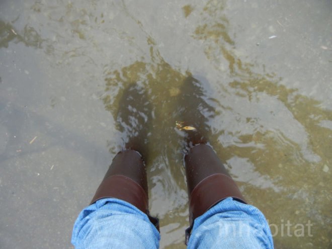 flooding brooklyn, brooklyn floods, brooklyn flooding, new york hurricane, hurricane sandy, sandy, sandy in brooklyn, frankenstorm, hurricane sandy flooding brooklyn, greenpoint flooding, is brooklyn flooded,