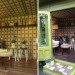 green design, Chelsea Flower Show, UK, Orla Kiely, recycled materials, garden shed, artisan garden shed, botanical, sustainable design, eco-design, flowers,