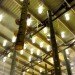 Touching the Earth Lightly, South Africa, Cape Town, Shanghai, solar bulbs, bamboo stalactites, mushroom farm, Biennale pavilion, plastic light bulbs, slums, low cost housing, urban design, Liter of Light, green design, sustainable design, Stephen Lamb, COP 17