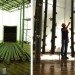 Touching the Earth Lightly, South Africa, Cape Town, Shanghai, solar bulbs, bamboo stalactites, mushroom farm, Biennale pavilion, plastic light bulbs, slums, low cost housing, urban design, Liter of Light, green design, sustainable design, Stephen Lamb, COP 17