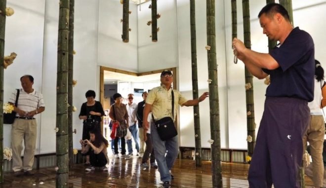 Touching the Earth Lightly, South Africa, Cape Town, Shanghai, solar bulbs, bamboo stalactites, mushroom farm, Biennale pavilion, plastic light bulbs, slums, low cost housing, urban design, Liter of Light, green design, sustainable design, Stephen Lamb, COP 17