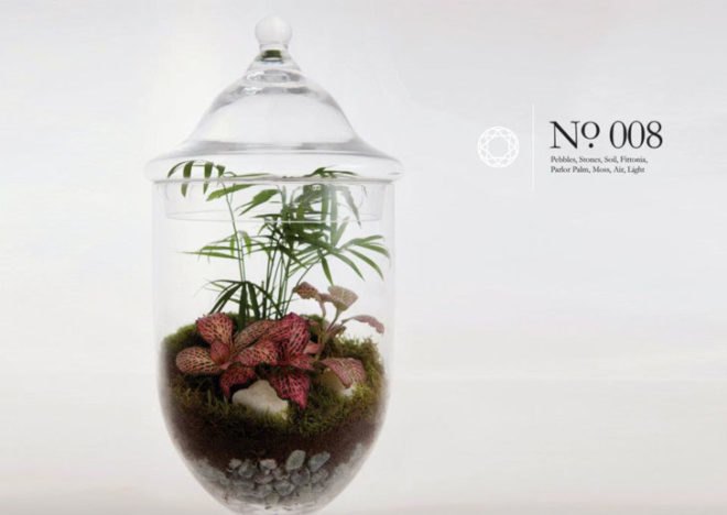 Living Gems, terrariums, Sharon Toong, gardens, London