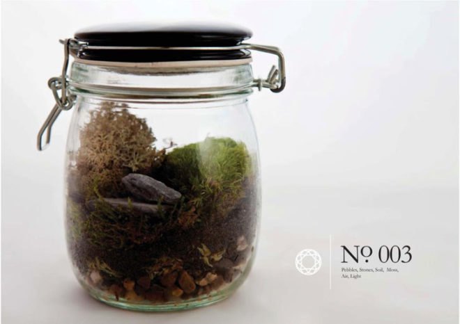 Living Gems, terrariums, Sharon Toong, gardens, London