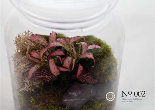 Living Gems, terrariums, Sharon Toong, gardens, London