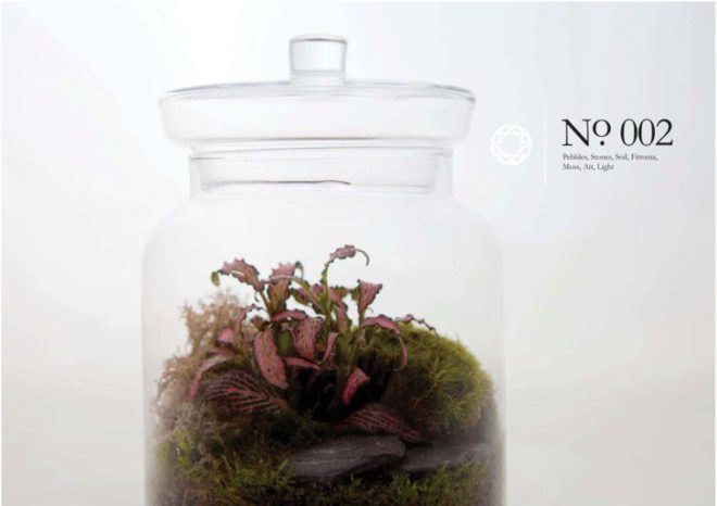 Living Gems, terrariums, Sharon Toong, gardens, London