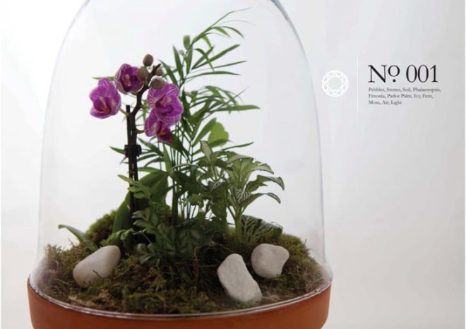 Living Gems, terrariums, Sharon Toong, gardens, London