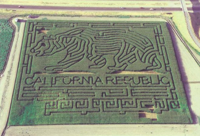 maize, maze, brett herbst, corn, computers, gps, corn maze, autumn, fall, eco art, green art, corn maze art